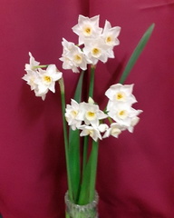 Mar03