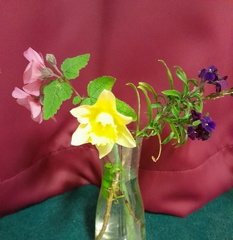 Mar04