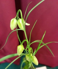 Apr02