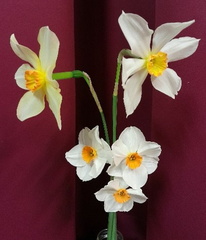 Apr10